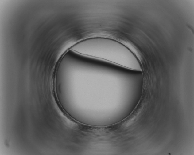 X0000092070999200709121022