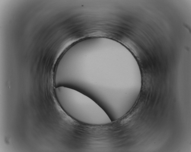 X0000092071000200709121022