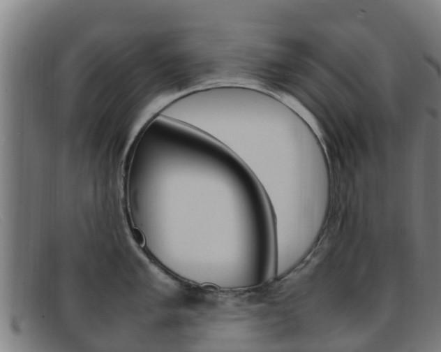 X0000092071005200709121022