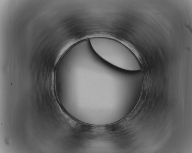 X0000092071006200709121022