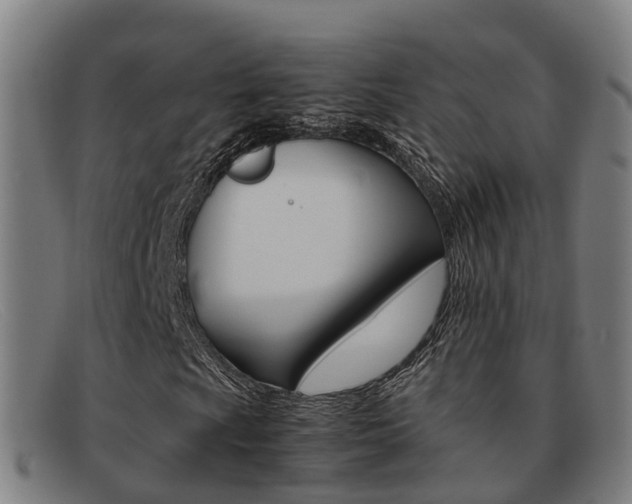 X0000092071009200709121021