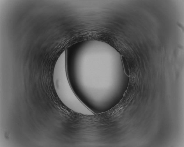 X0000092071010200709121021