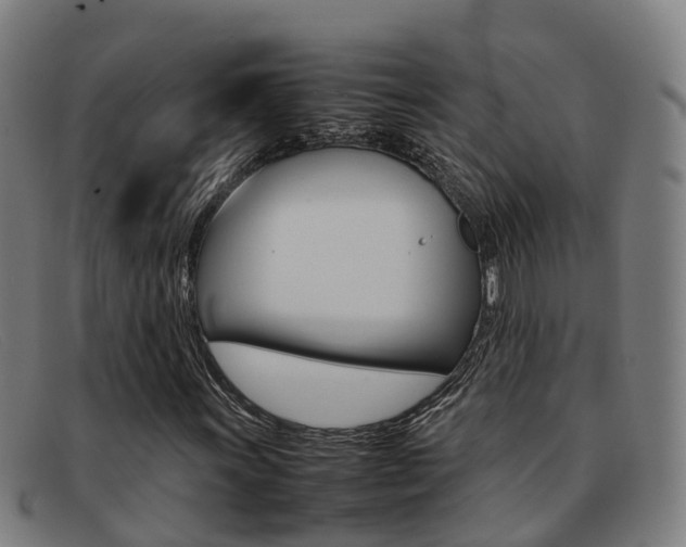 X0000092071011200709121021