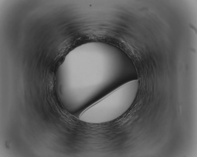 X0000092071012200709121021