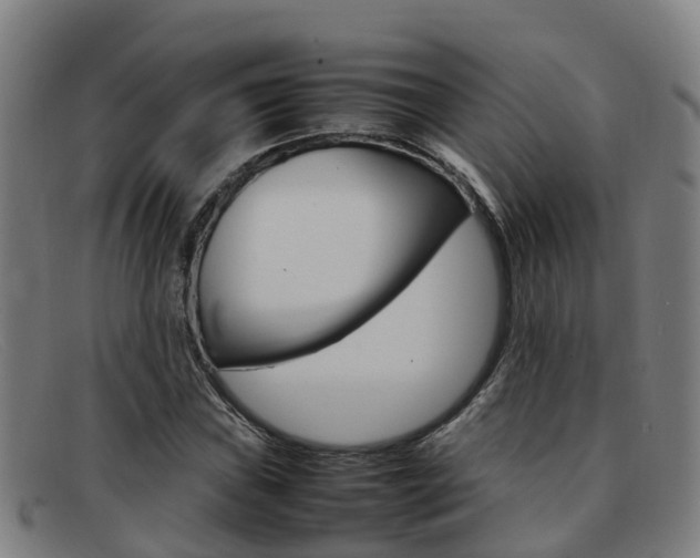 X0000092071019200709121021