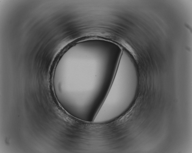 X0000092071020200709121021