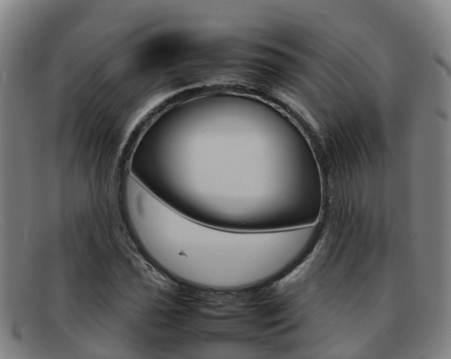 X0000092071021200709121021