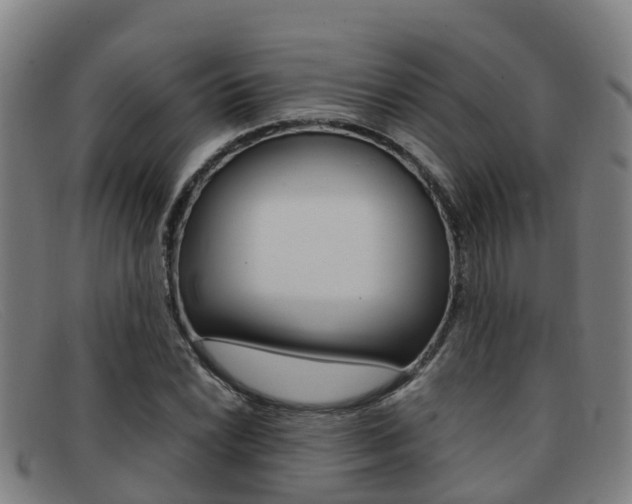 X0000092071022200709121021