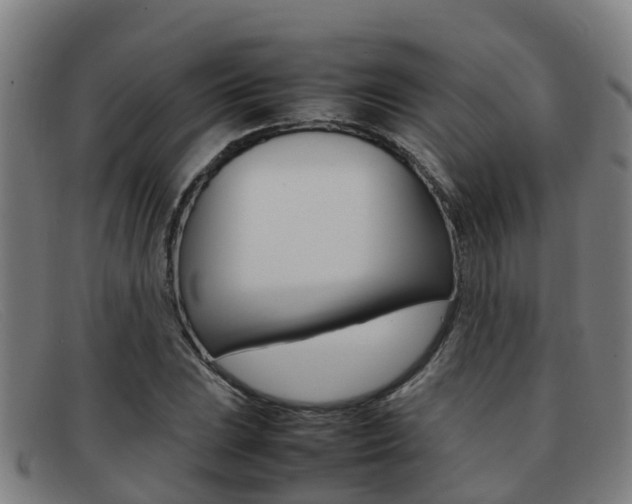 X0000092071023200709121021