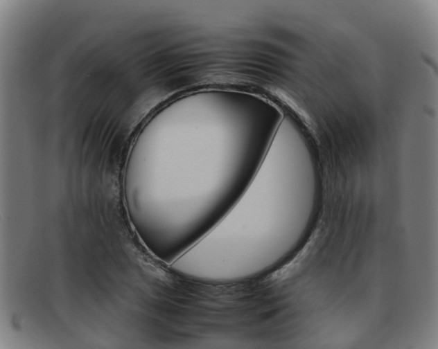 X0000092071025200709121021