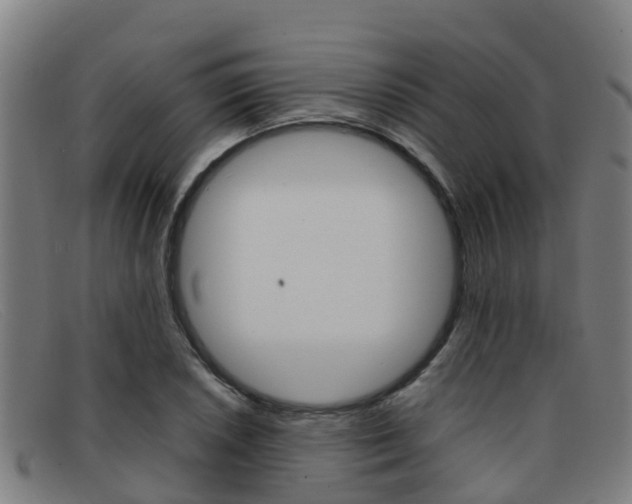 X0000092071026200709121021