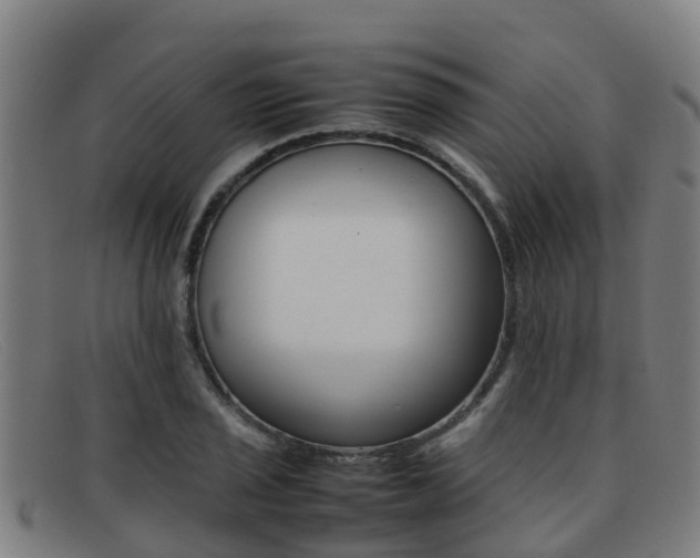 X0000092071029200709121021
