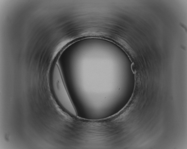 X0000092071030200709121021