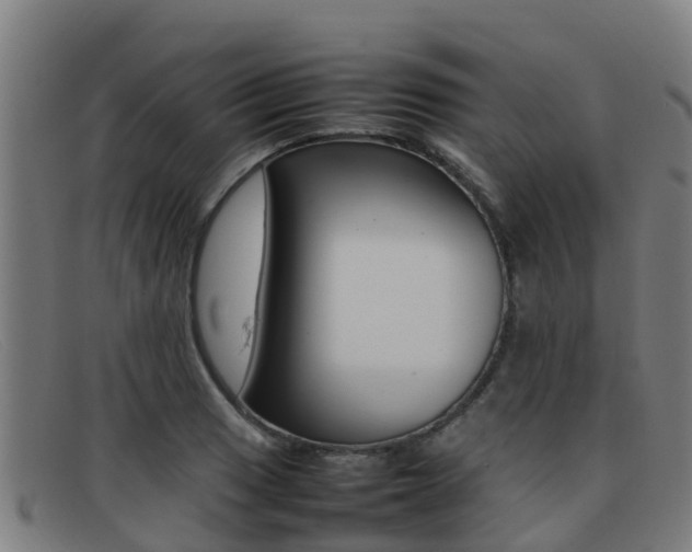 X0000092071033200709121022