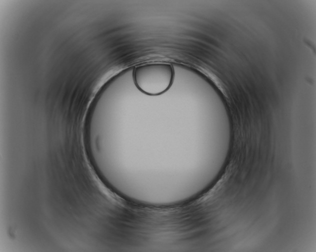 X0000092071034200709121022