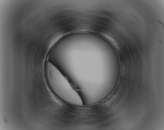 X0000092071039200709121022