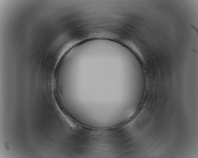 X0000092071040200709121022