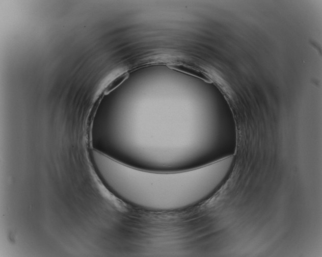 X0000092071042200709121022