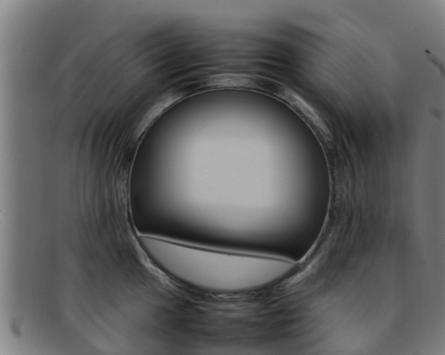 X0000092071049200709121022