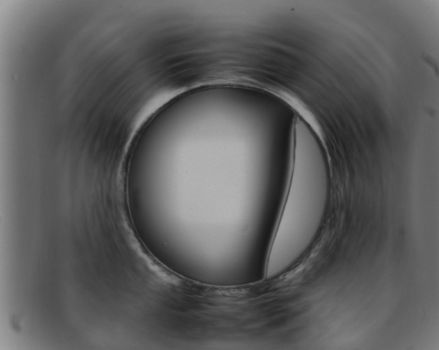 X0000092071053200709121022