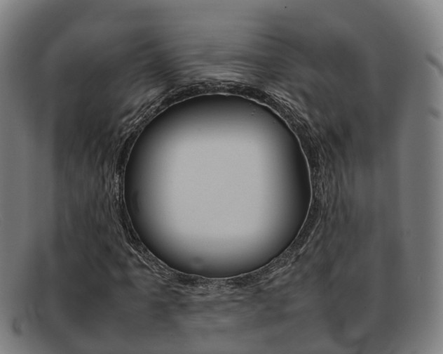 X0000092071061200709121021