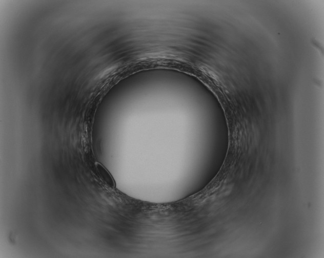 X0000092071062200709121021