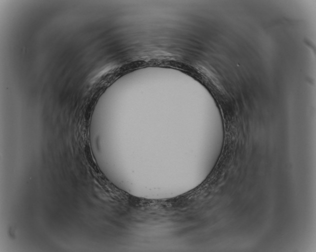 X0000092071063200709121021