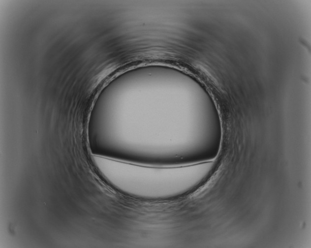 X0000092071065200709121021