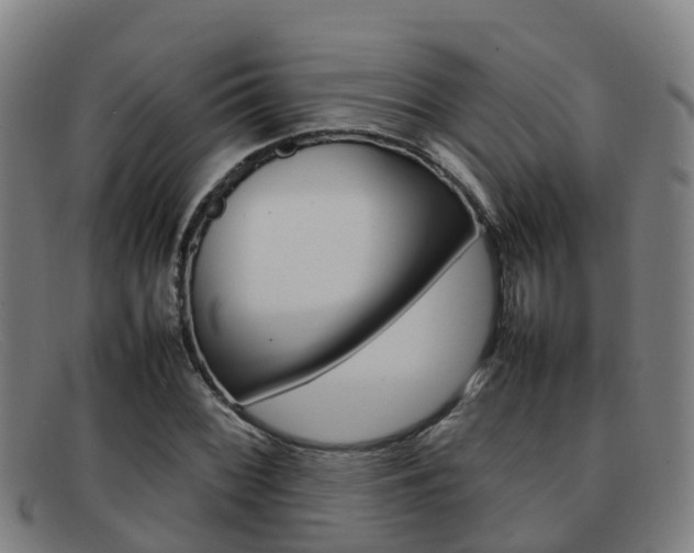 X0000092071068200709121021