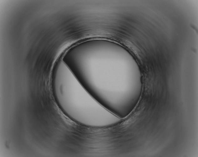 X0000092071072200709121021