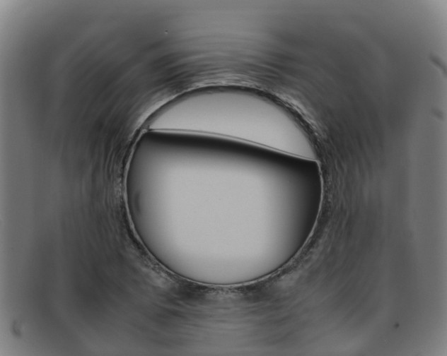 X0000092071073200709121021