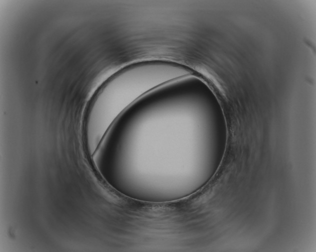 X0000092071077200709121021