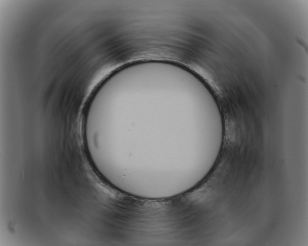 X0000092071078200709121021