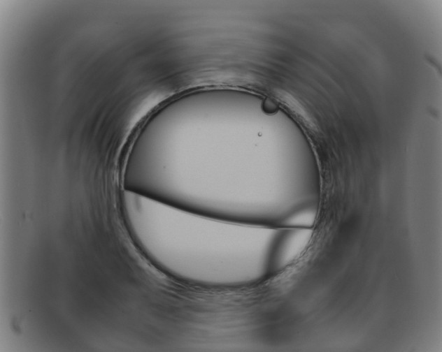 X0000092071079200709121021