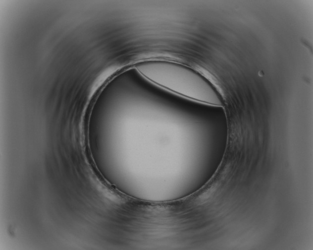 X0000092071082200709121021