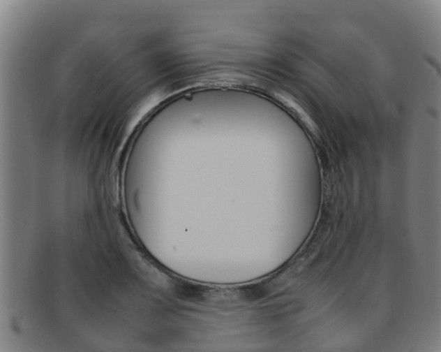 X0000092071083200709121021