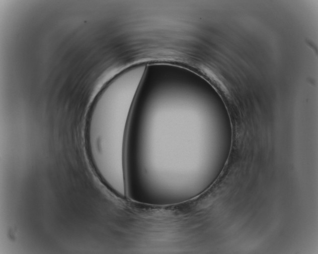 X0000092071085200709121021