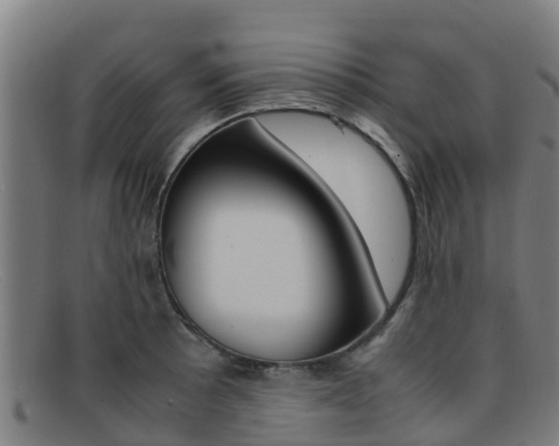 X0000092071089200709121021