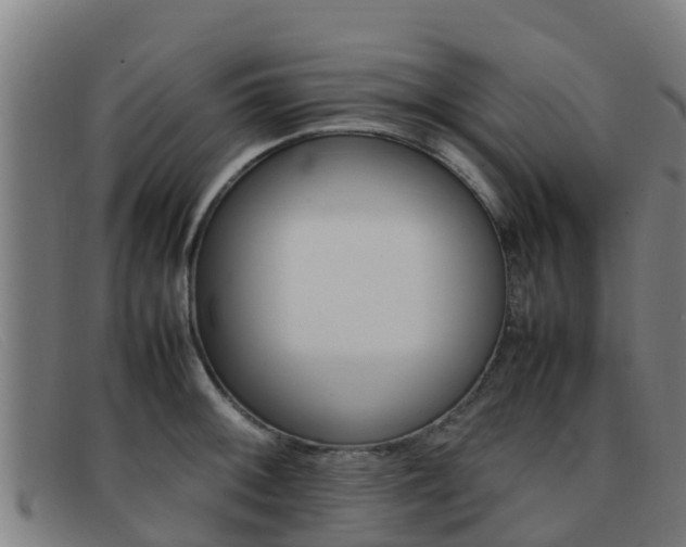X0000092071092200709121021