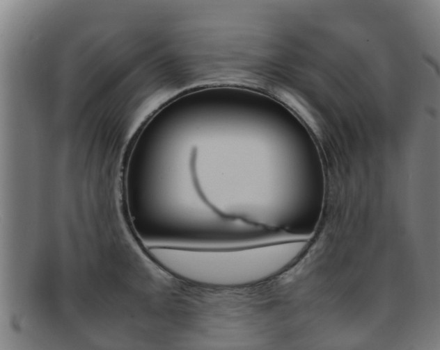 X0000092071093200709121021
