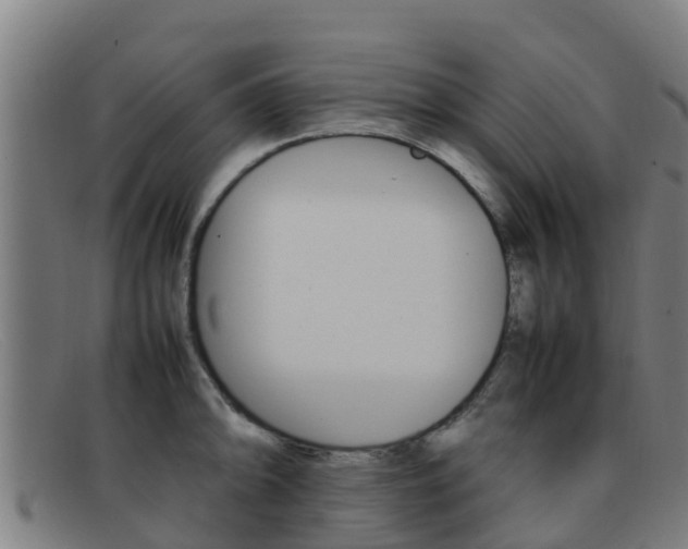 X0000092071094200709121021