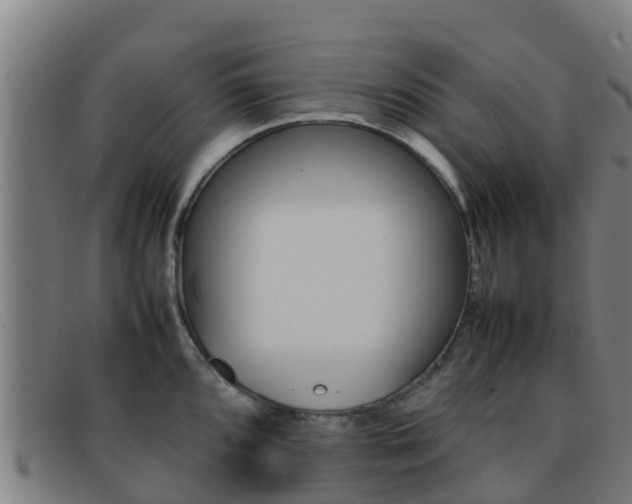 X0000092071096200709121021