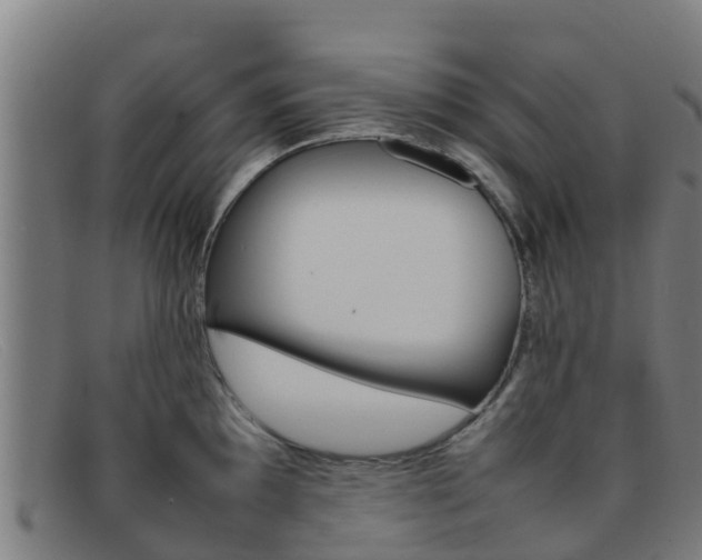 X0000092071097200709121021
