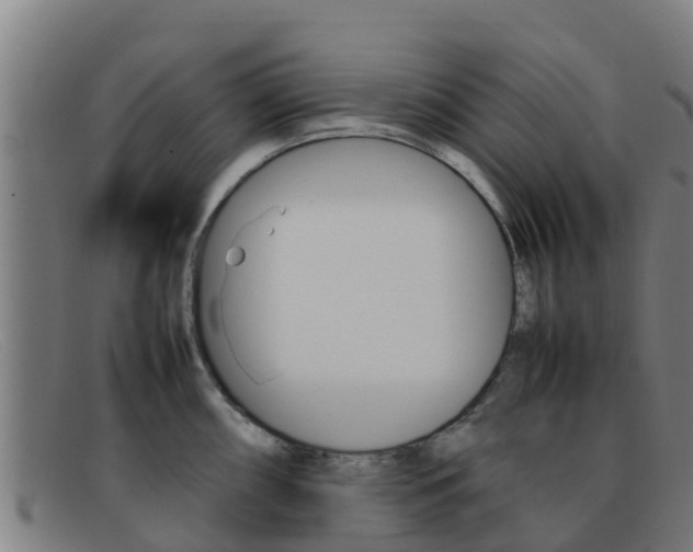 X0000092071098200709121021