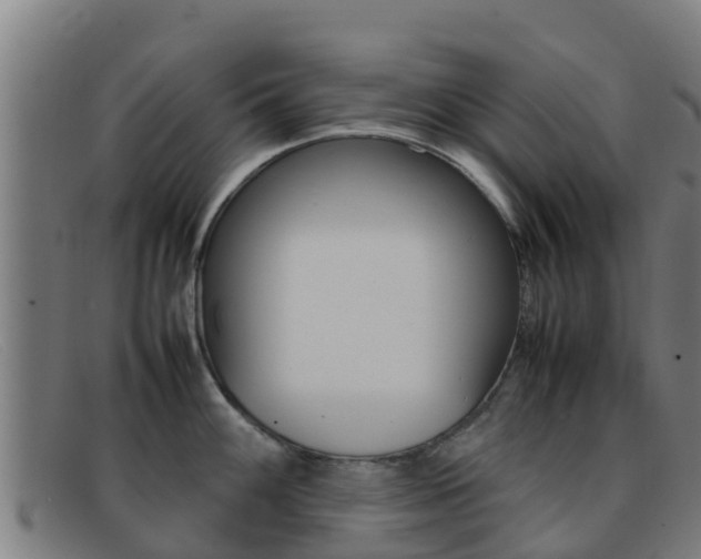 X0000092071100200709121021