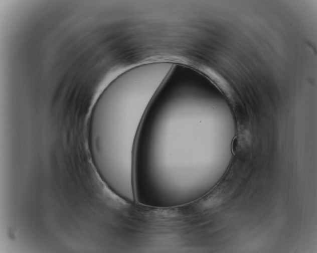 X0000092071102200709121021
