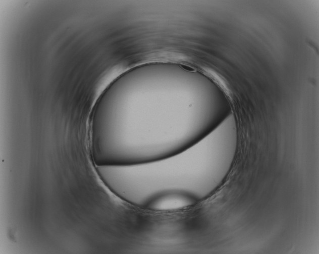 X0000092071103200709121021