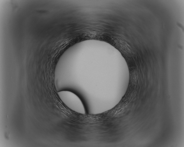 X0000092071105200709121020