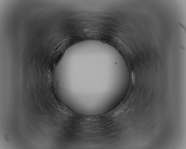 X0000092071107200709121020