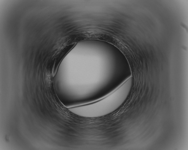 X0000092071108200709121020